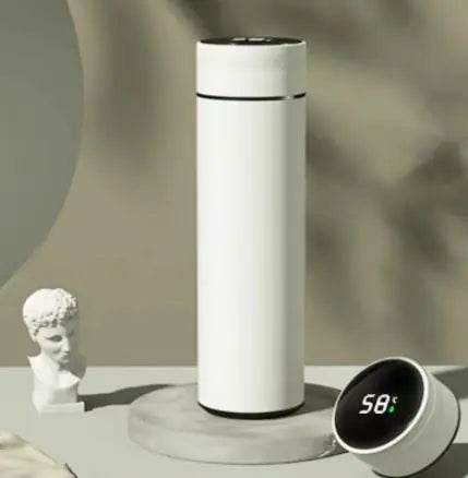 LED Temperature Display Water Bottle - Stepvana