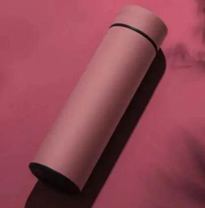 LED Temperature Display Water Bottle - Stepvana