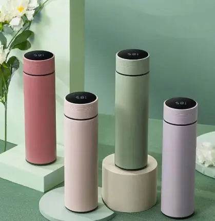 LED Temperature Display Water Bottle - Stepvana