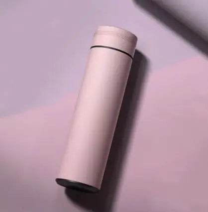 LED Temperature Display Water Bottle - Stepvana